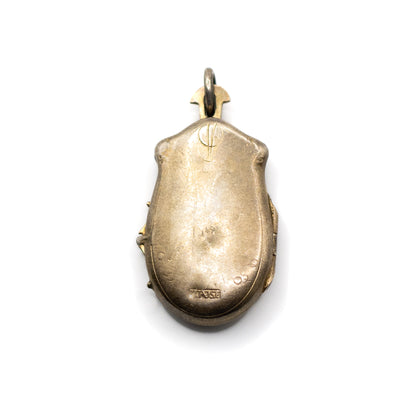Jugendstil Antiker Silber Vermeil Perlmutt Insekten-Medaillon