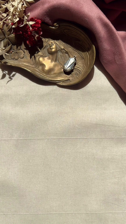 Art Nouveau Antique Silver Vermeil Mother Of Pearl Insect Locket
